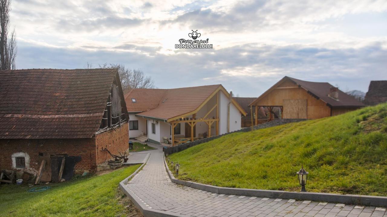 Domeniul Bondarelului Hotel Ocolisu Mic Luaran gambar