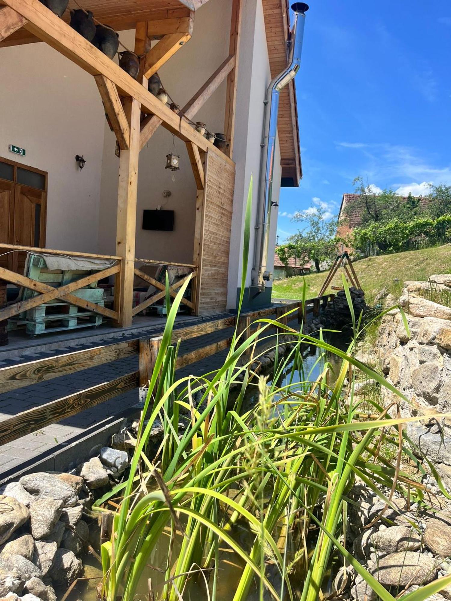 Domeniul Bondarelului Hotel Ocolisu Mic Luaran gambar