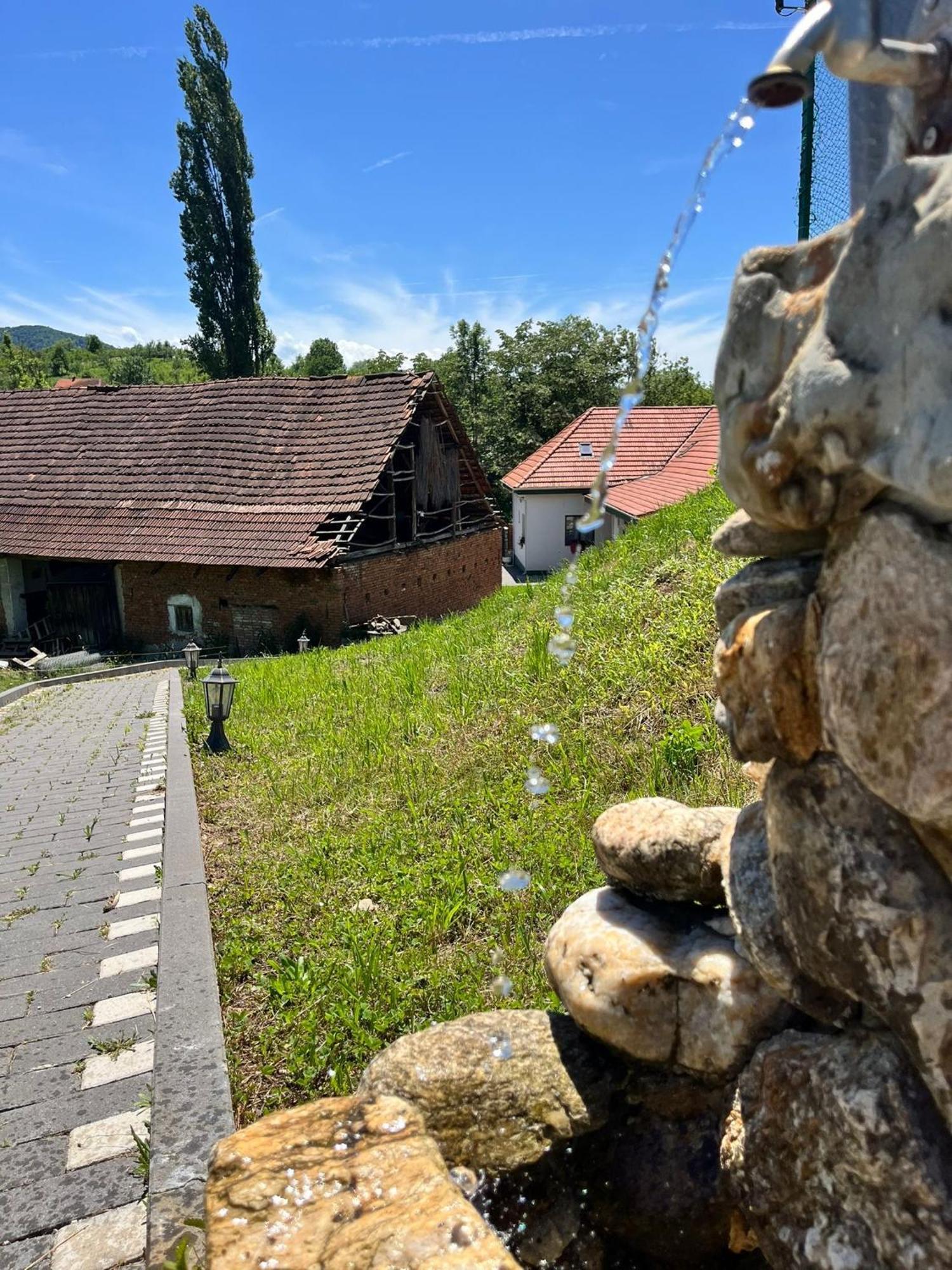 Domeniul Bondarelului Hotel Ocolisu Mic Luaran gambar